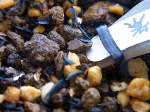 ミックスベリア